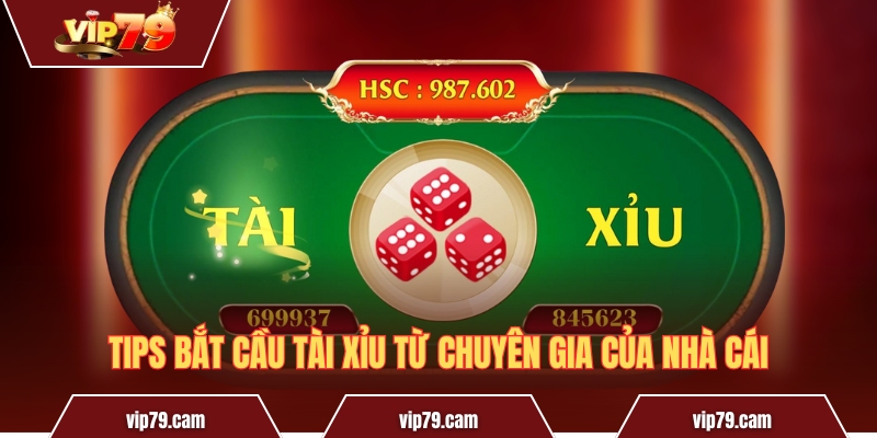 Cách bắt cầu tài xỉu giúp tăng cơ hội thắng từ cao thủ Tips bắt cầu tài xỉu từ chuyên gia của nhà cái