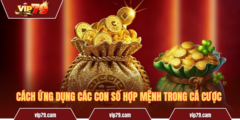 Con số hợp mệnh Kim và những điều bí ẩn thú vị nhất Cách ứng dụng các con số hợp mệnh trong cá cược
