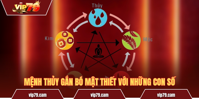 Con số hợp mệnh Thủy - Cách cải thiện vận mệnh cực dễ Mệnh Thủy gắn bó mật thiết với những con số