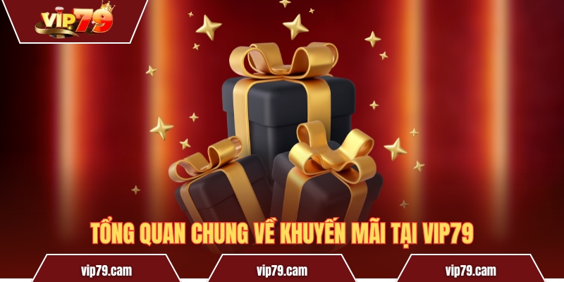 Khuyến Mãi Vip79 - Những Chương Trình Hot Nhất Năm 2025 Tổng quan chung về khuyến mãi tại Vip79